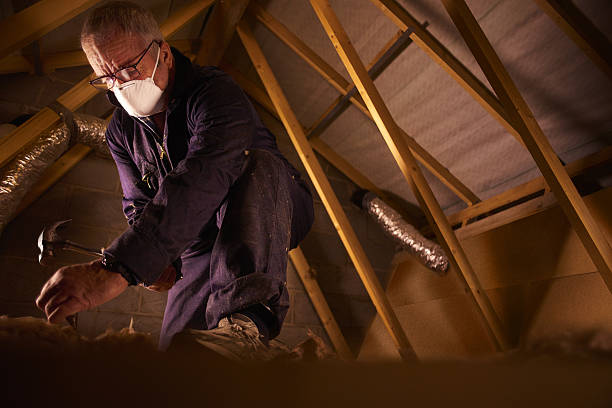 Types of Insulation We Offer in Portland, OR